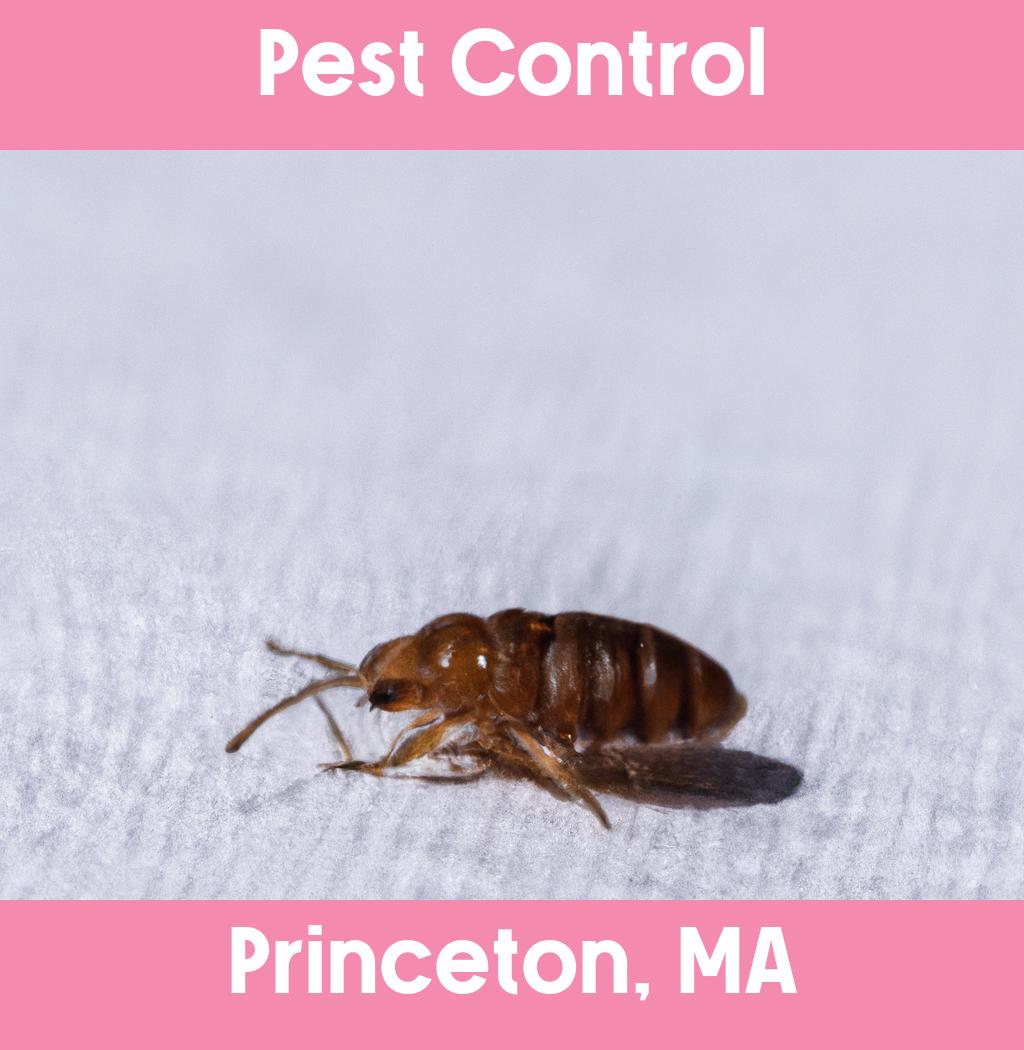 pest control in Princeton Massachusetts