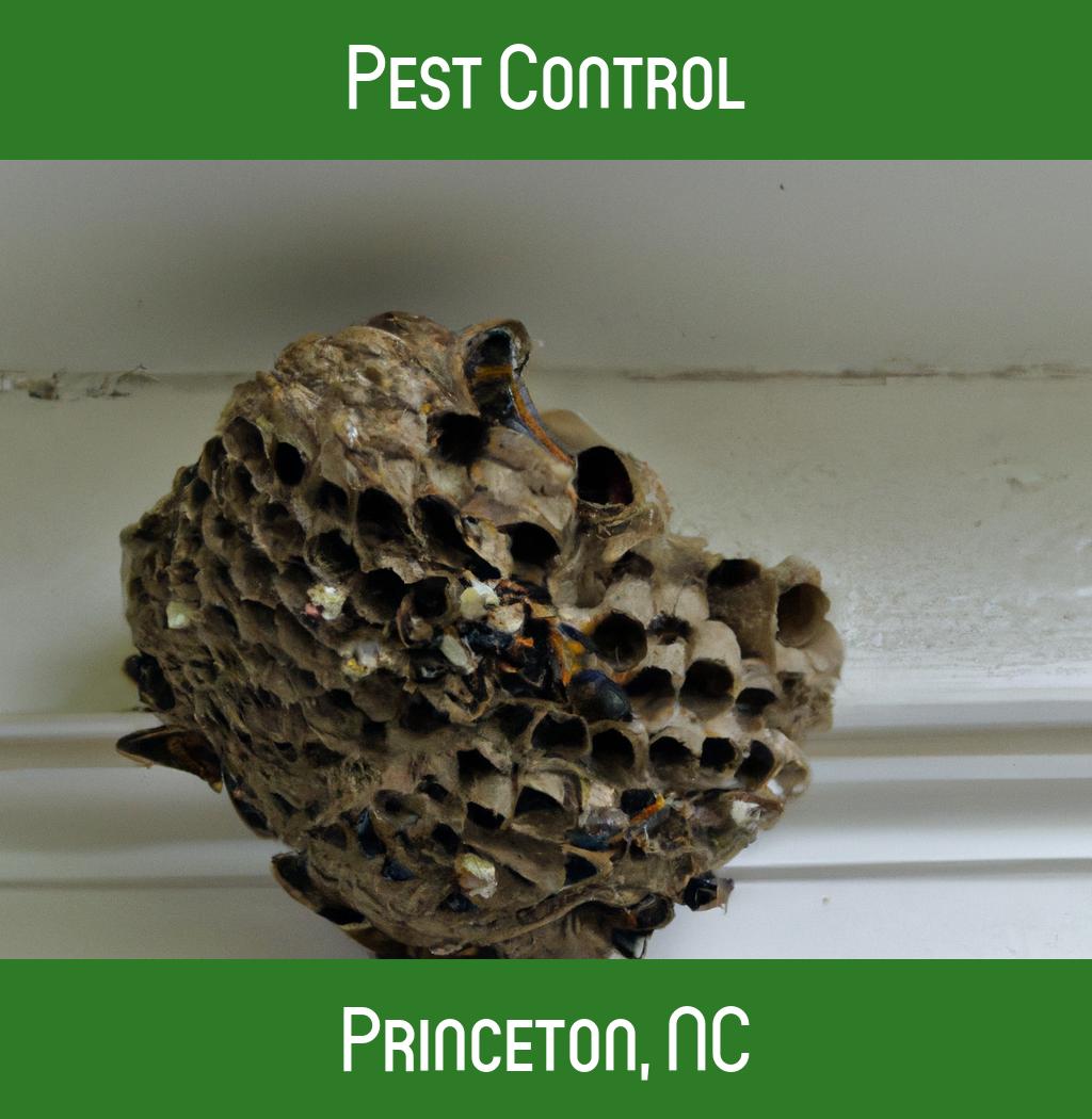 pest control in Princeton North Carolina