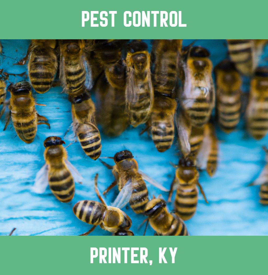 pest control in Printer Kentucky