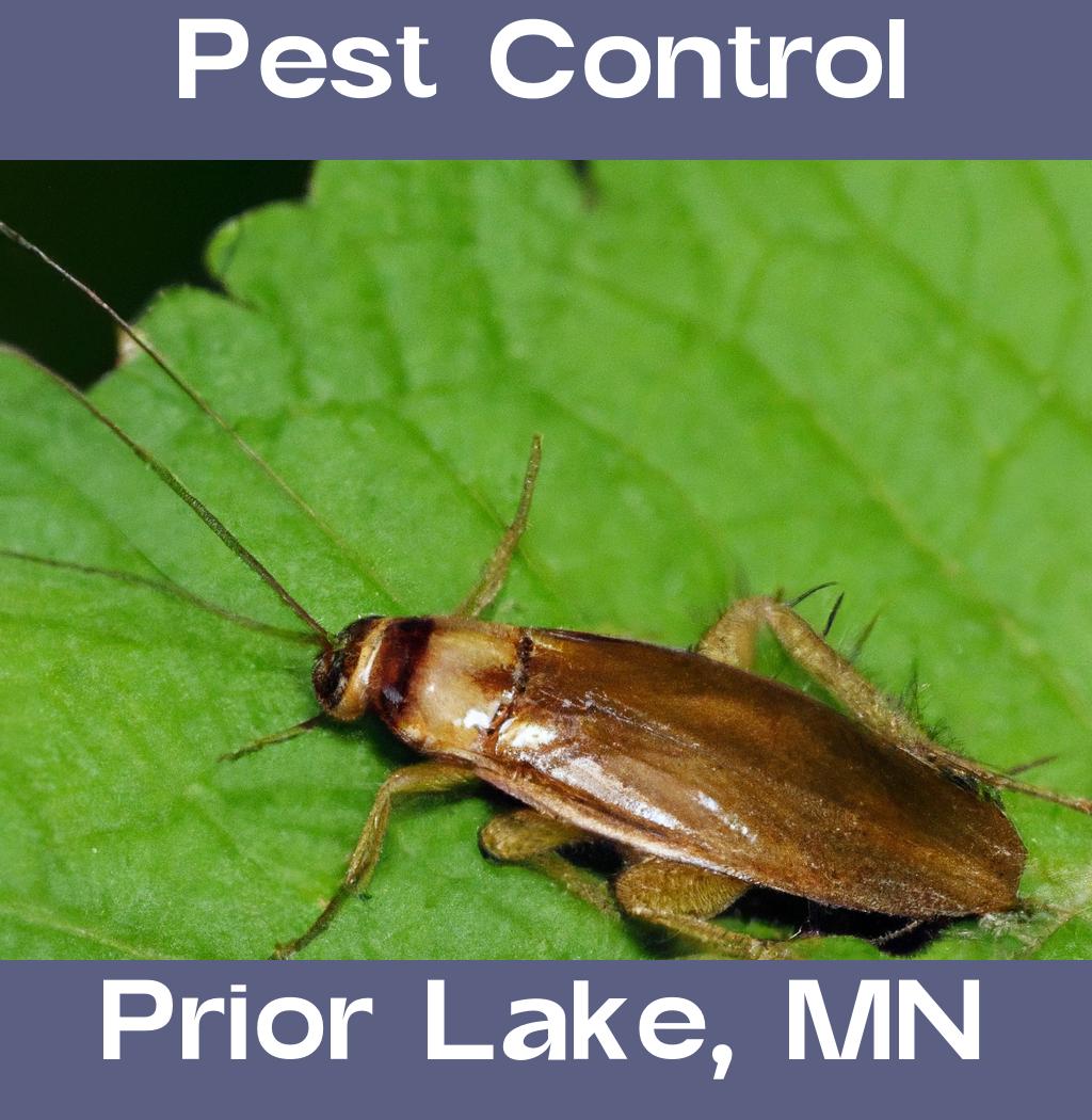 pest control in Prior Lake Minnesota