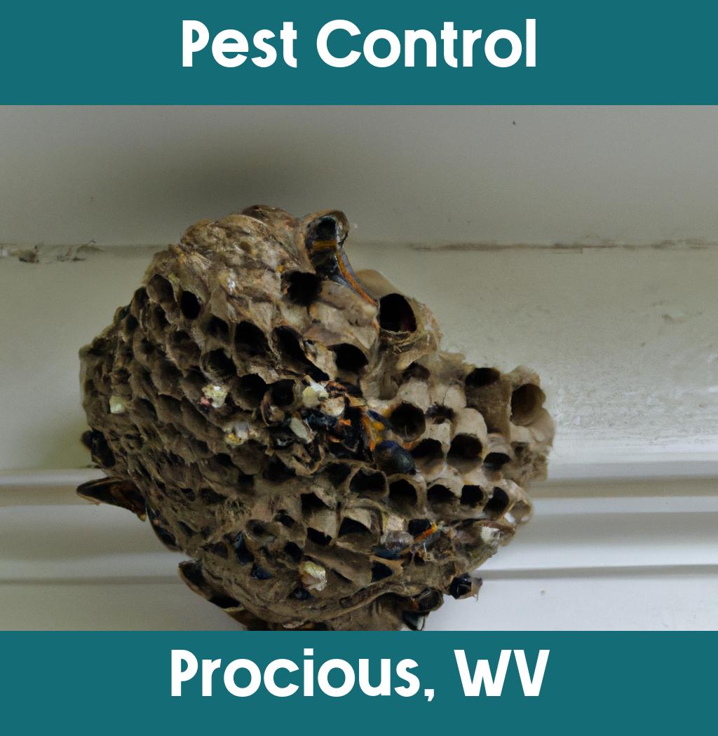 pest control in Procious West Virginia
