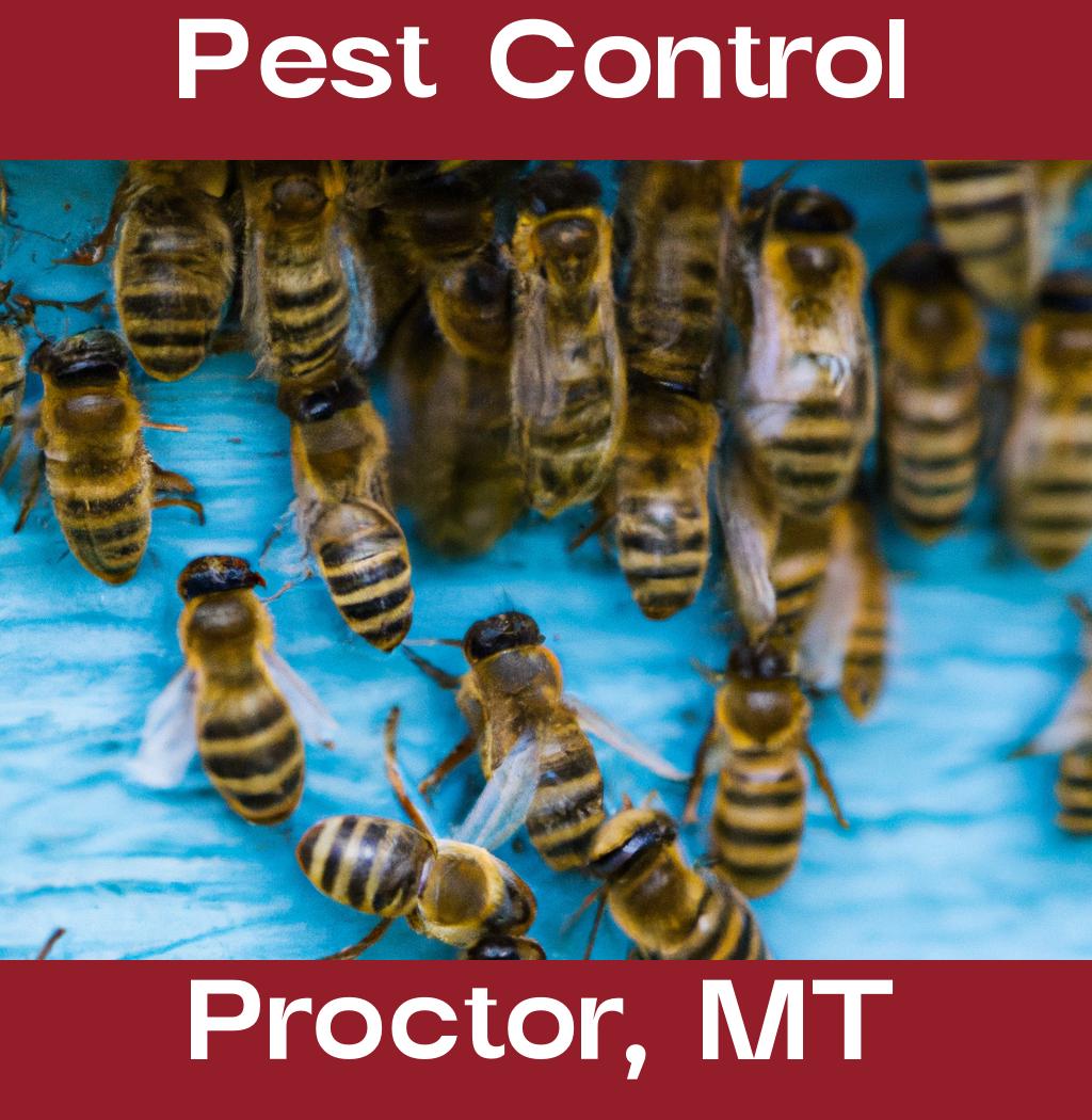 pest control in Proctor Montana