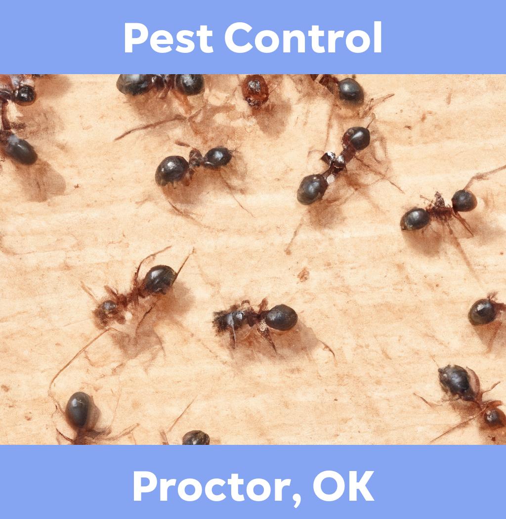 pest control in Proctor Oklahoma