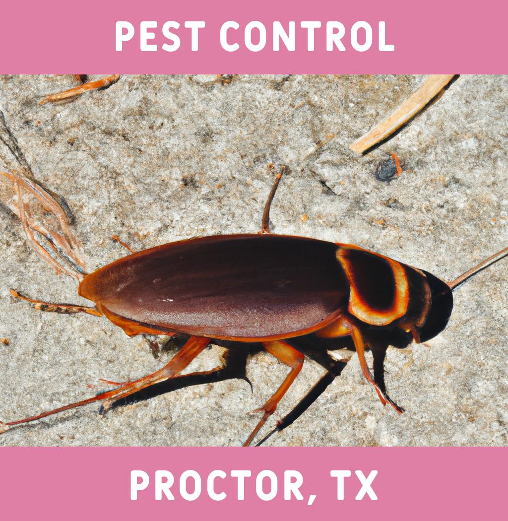 pest control in Proctor Texas