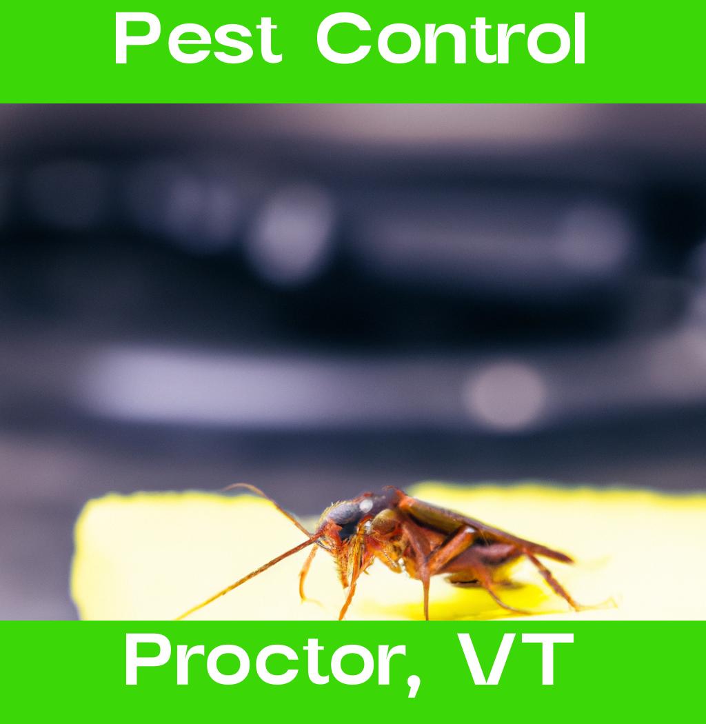 pest control in Proctor Vermont