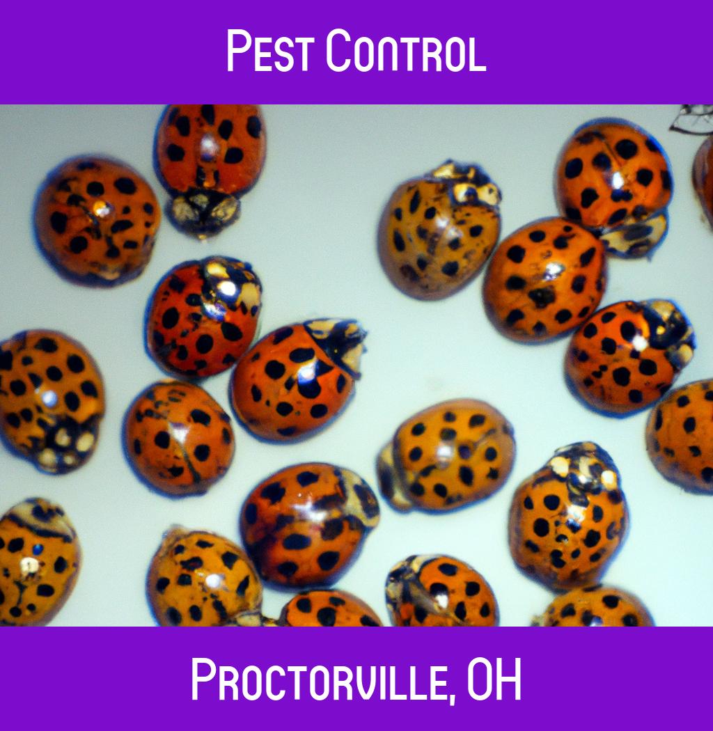 pest control in Proctorville Ohio