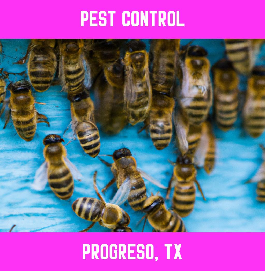 pest control in Progreso Texas