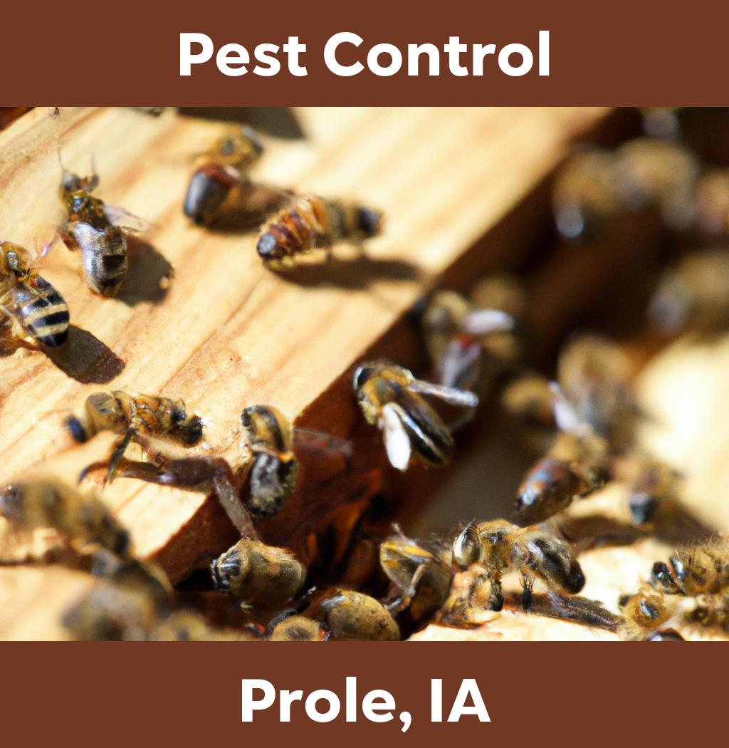 pest control in Prole Iowa