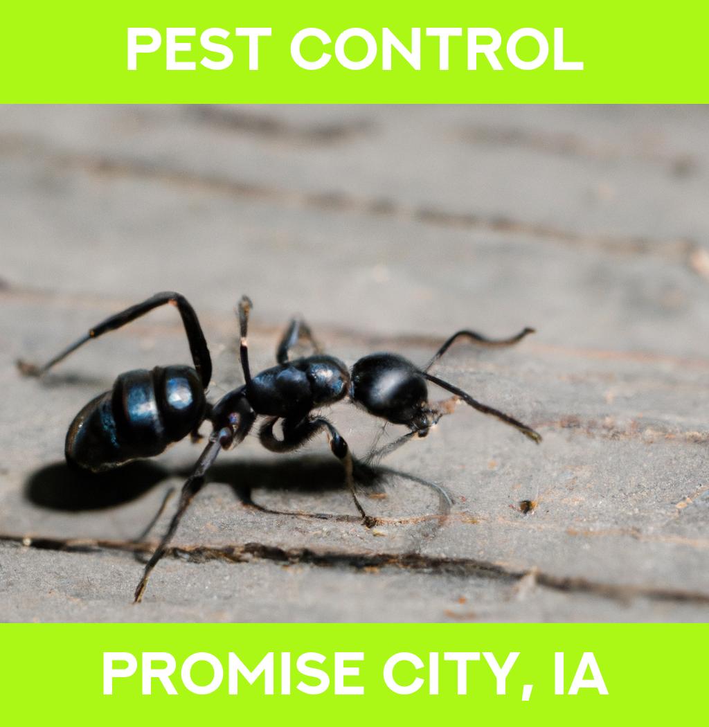 pest control in Promise City Iowa