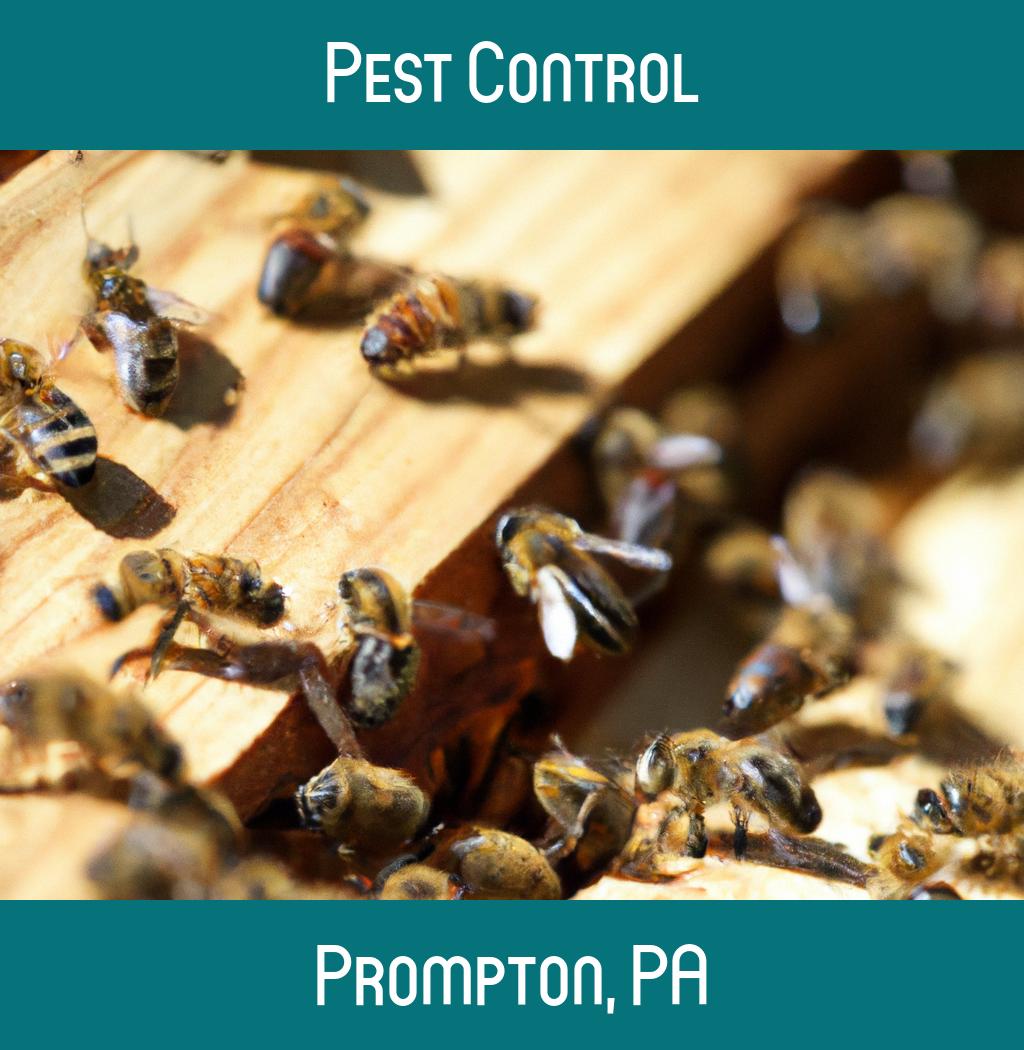 pest control in Prompton Pennsylvania