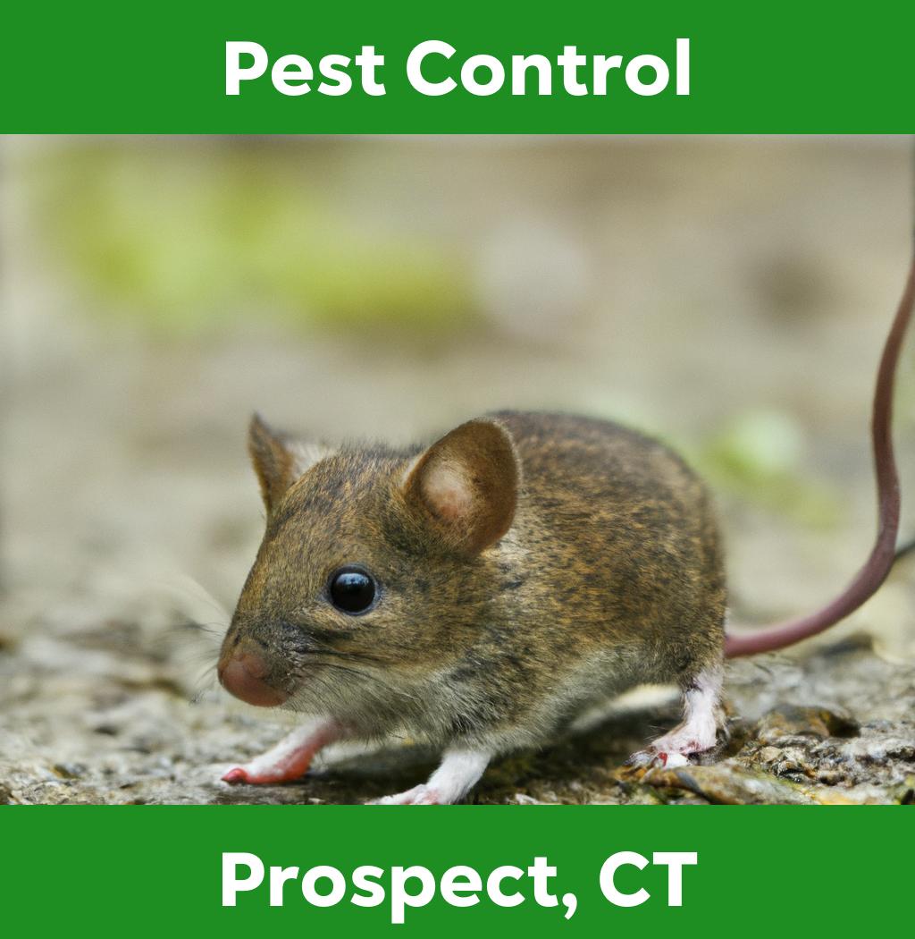 pest control in Prospect Connecticut