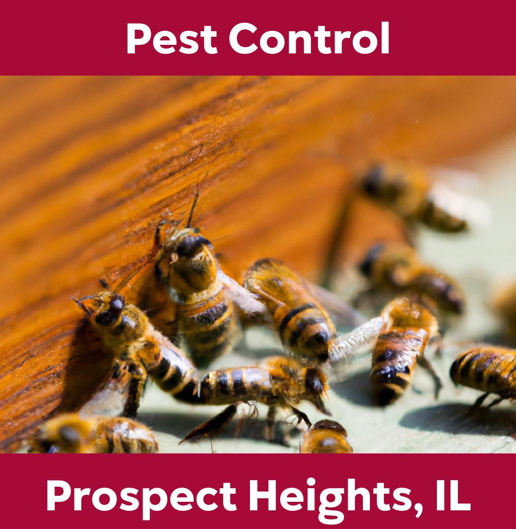 pest control in Prospect Heights Illinois