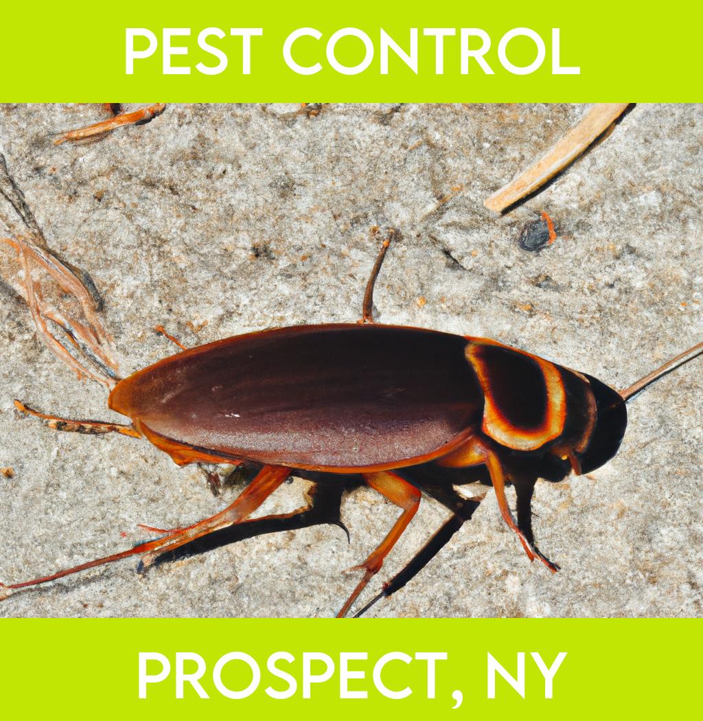 pest control in Prospect New York