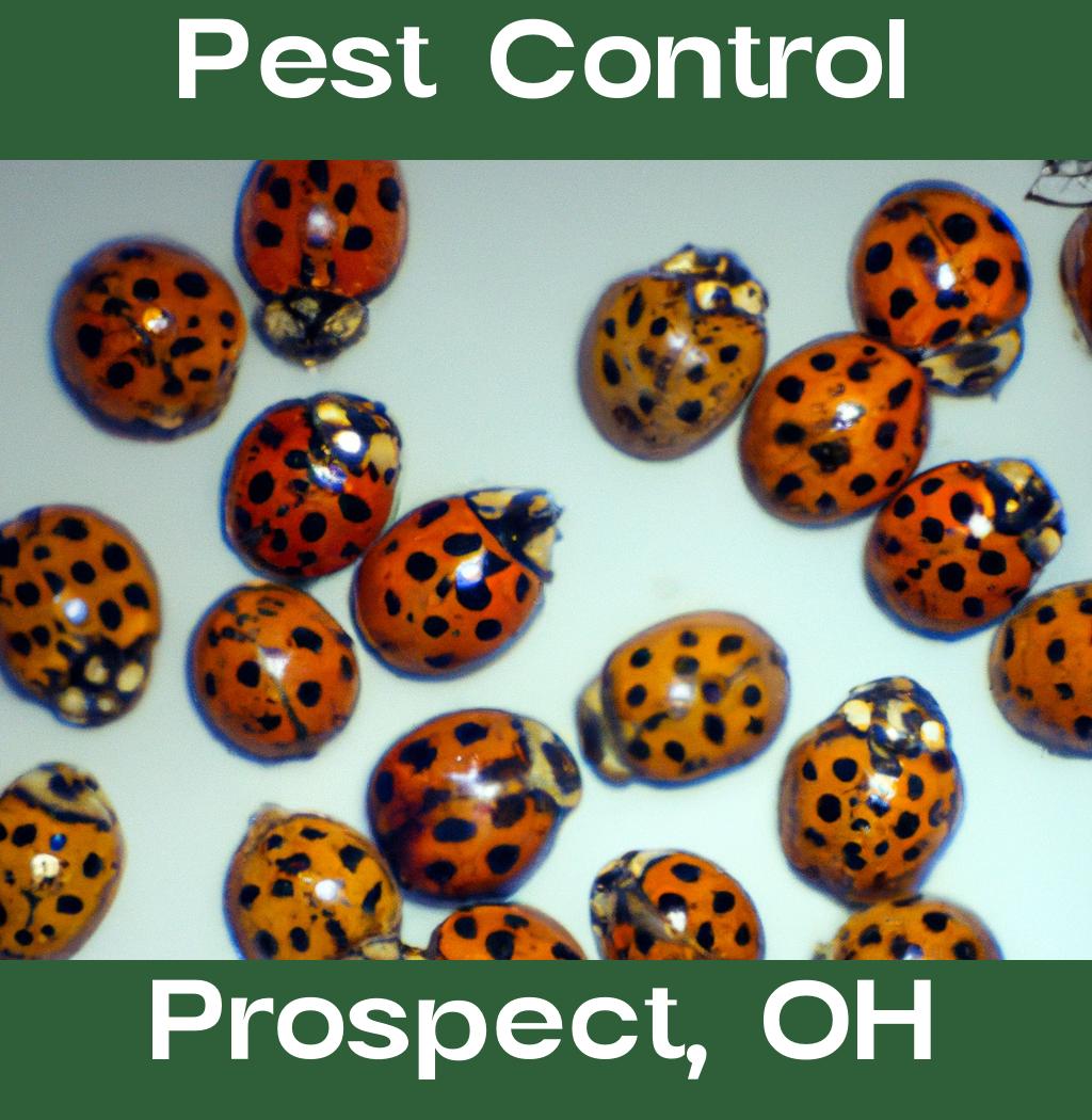 pest control in Prospect Ohio