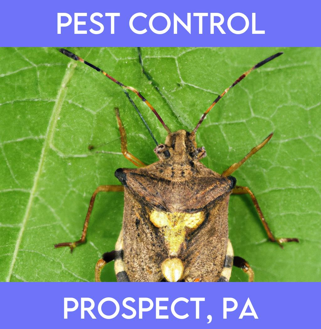 pest control in Prospect Pennsylvania