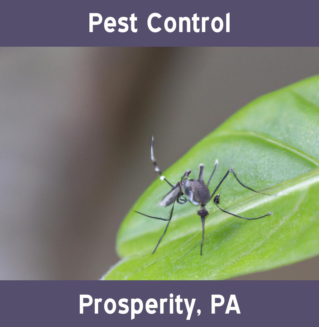 pest control in Prosperity Pennsylvania