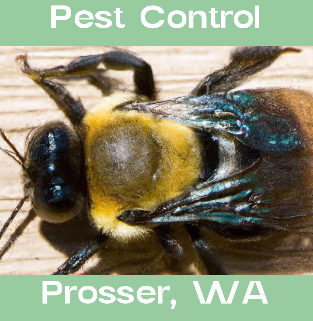 pest control in Prosser Washington
