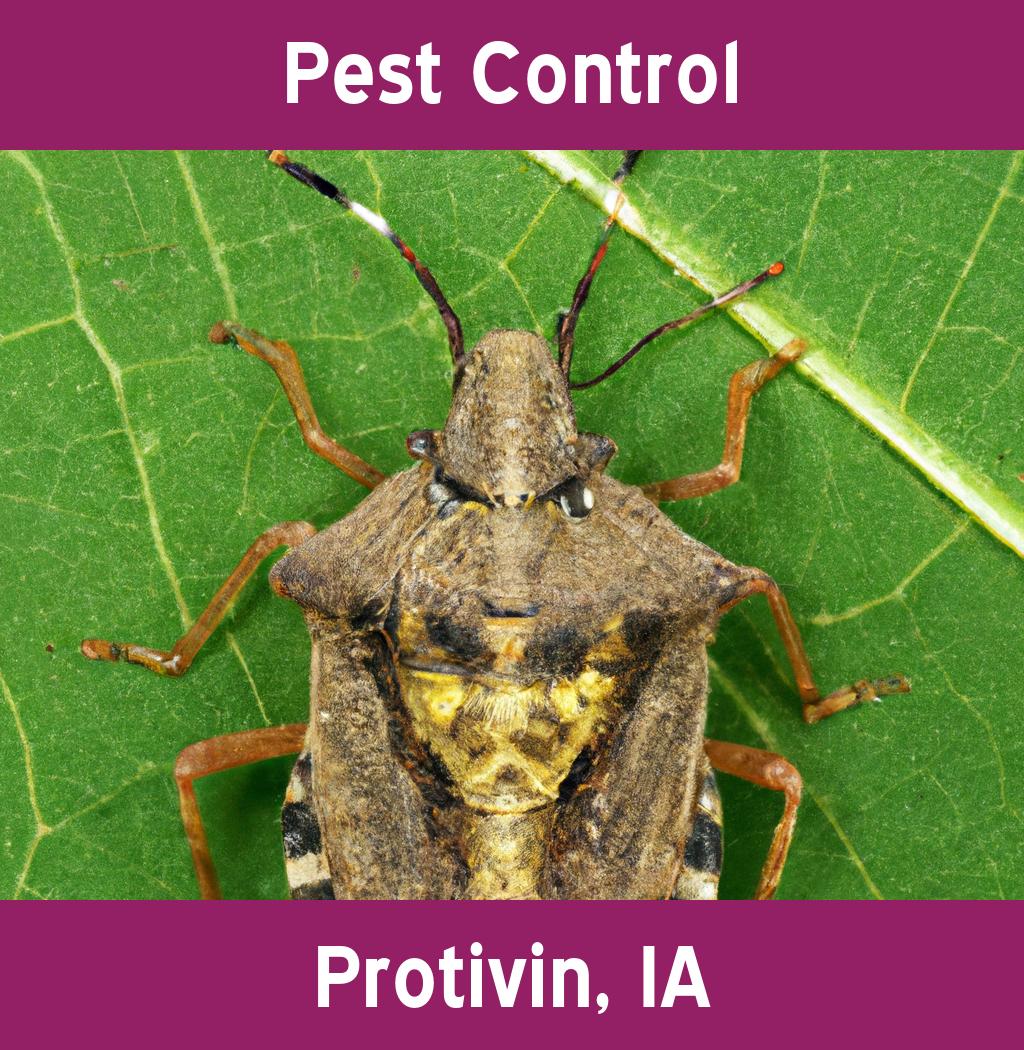 pest control in Protivin Iowa
