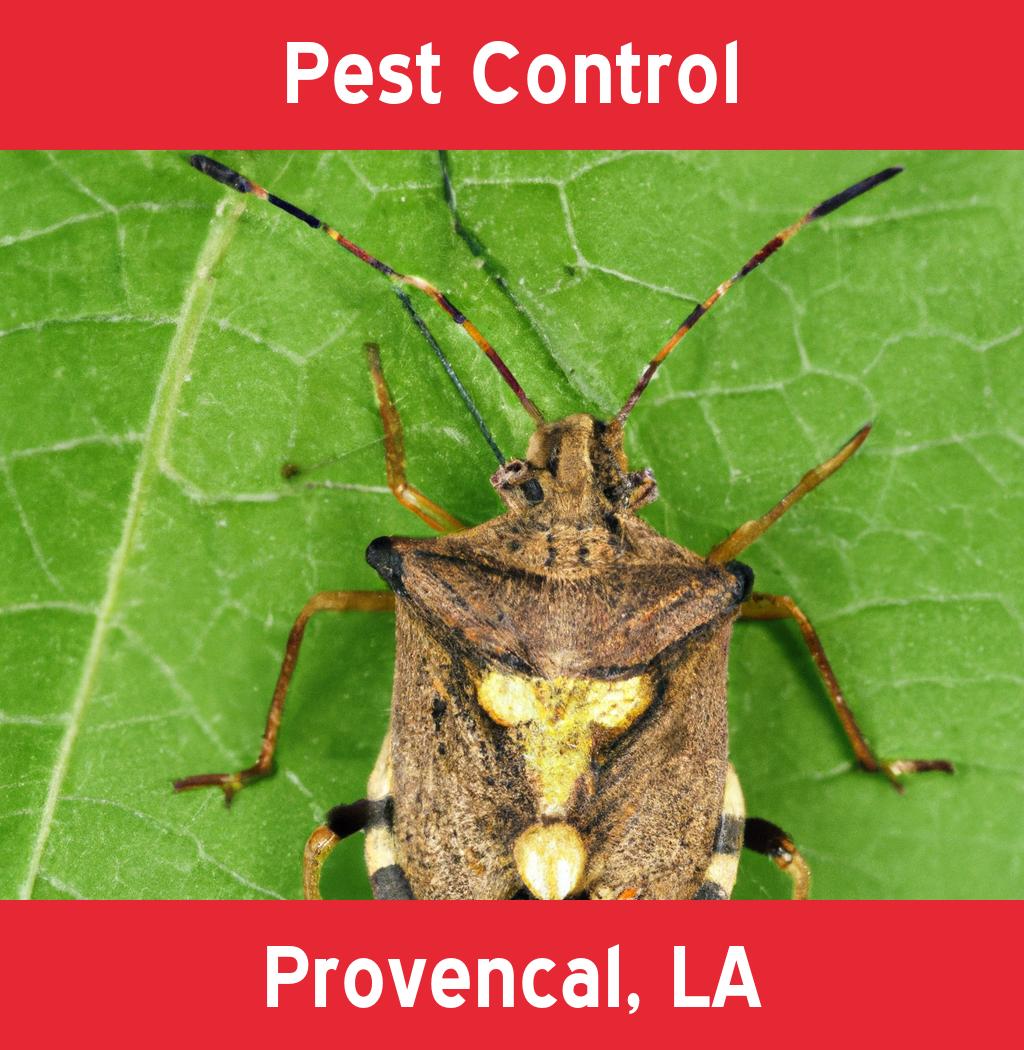 pest control in Provencal Louisiana