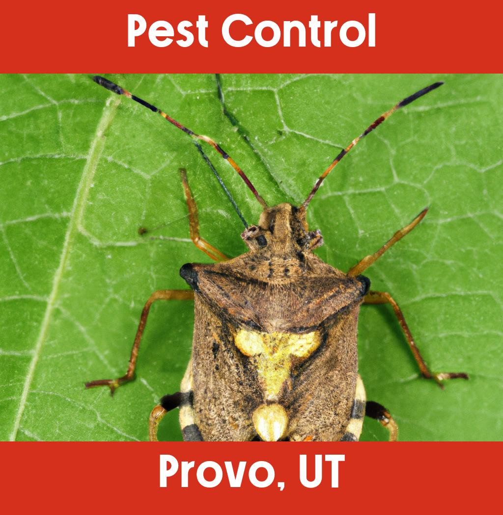 pest control in Provo Utah