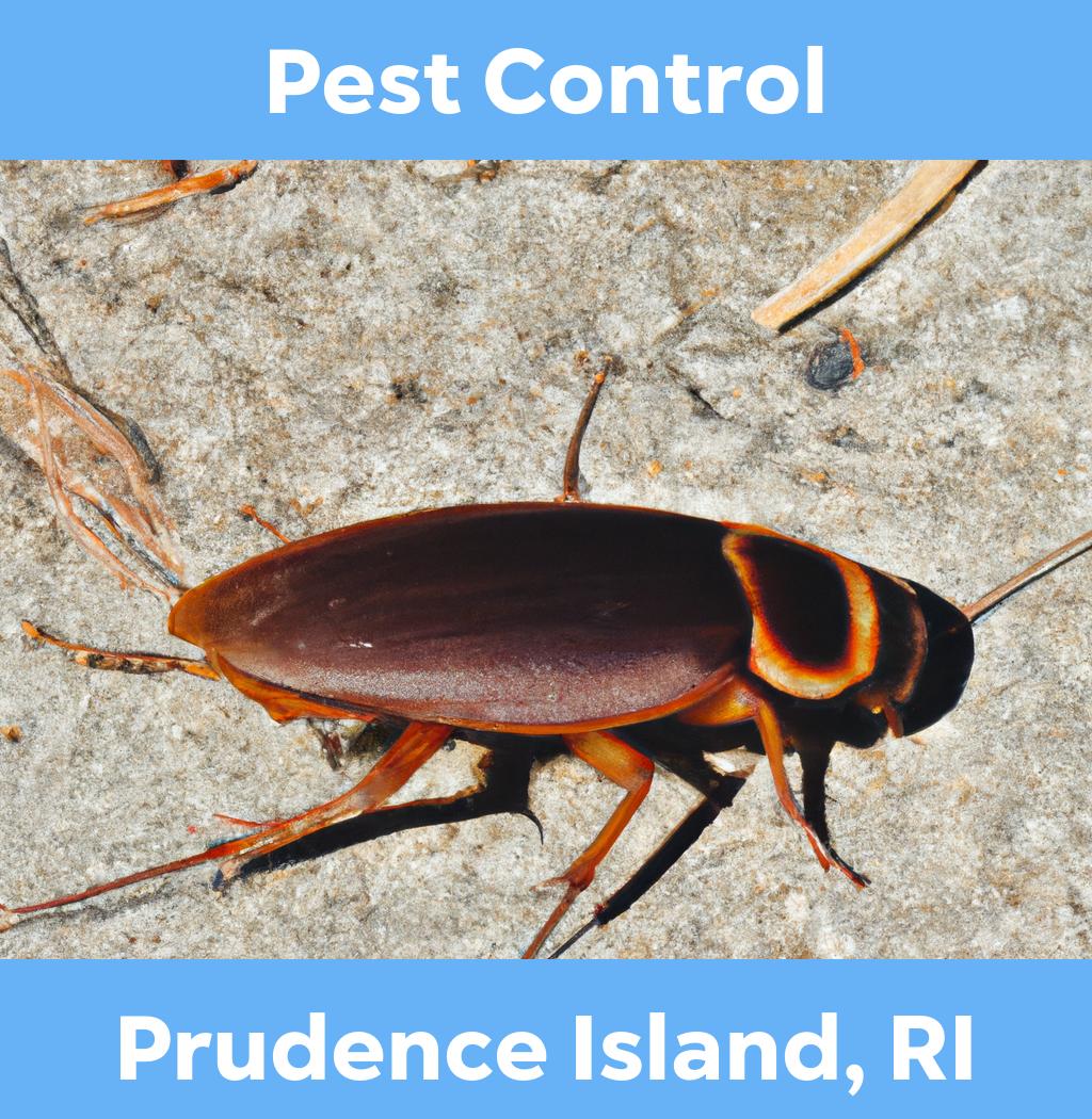 pest control in Prudence Island Rhode Island