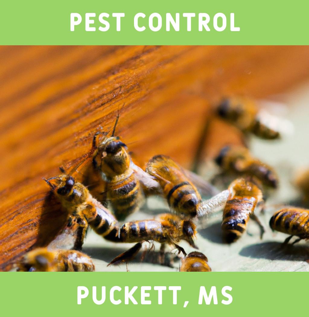 pest control in Puckett Mississippi