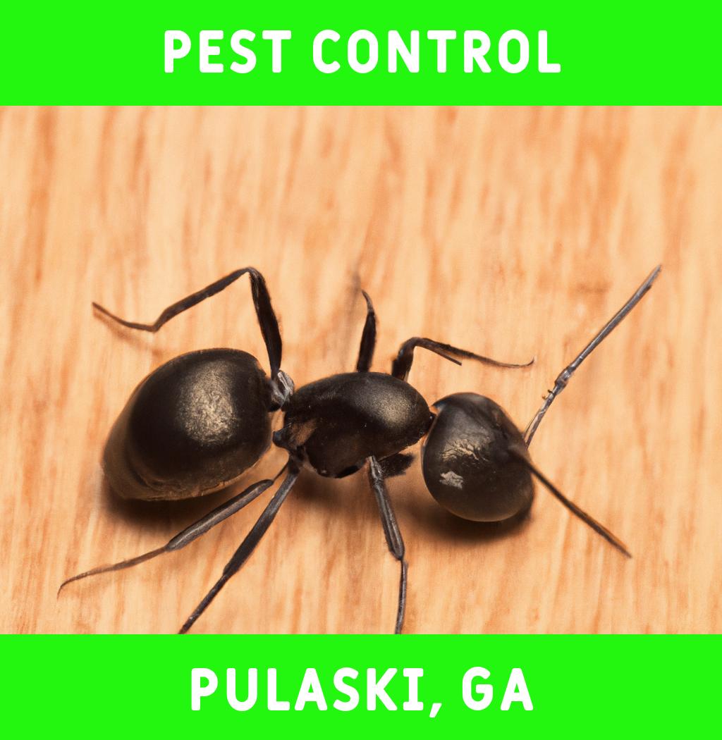 pest control in Pulaski Georgia