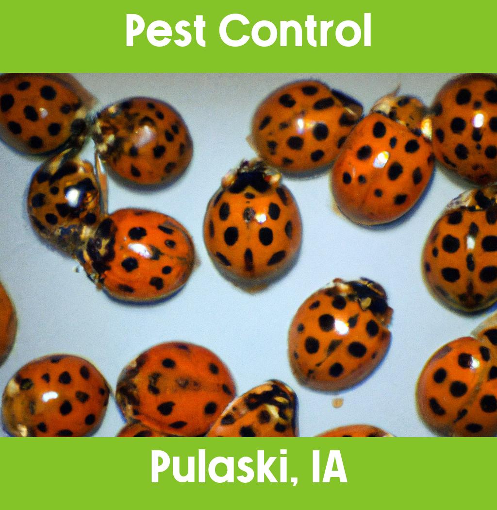 pest control in Pulaski Iowa