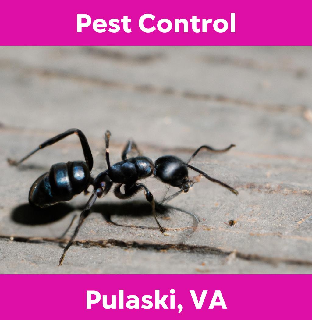 pest control in Pulaski Virginia