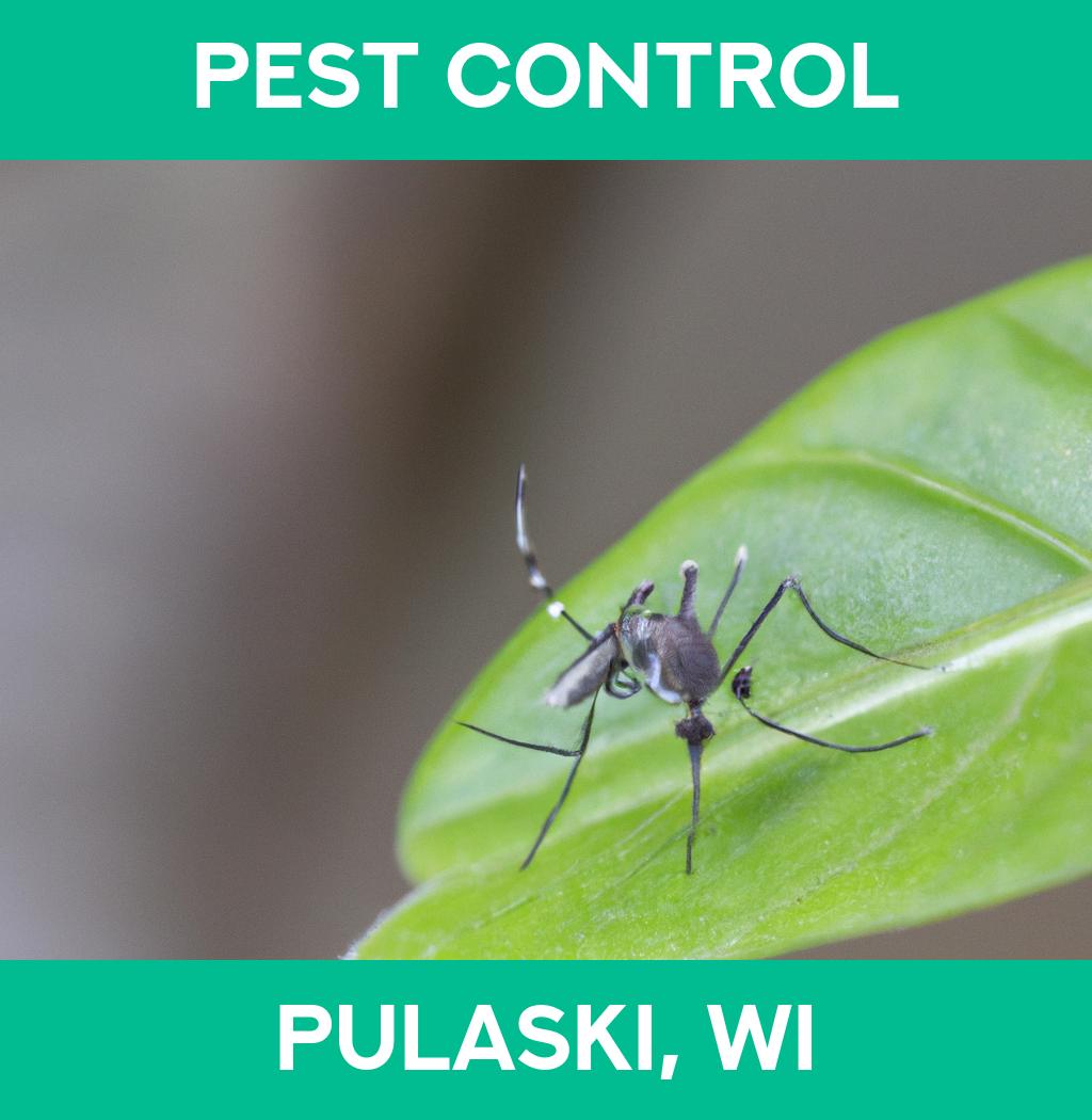 pest control in Pulaski Wisconsin