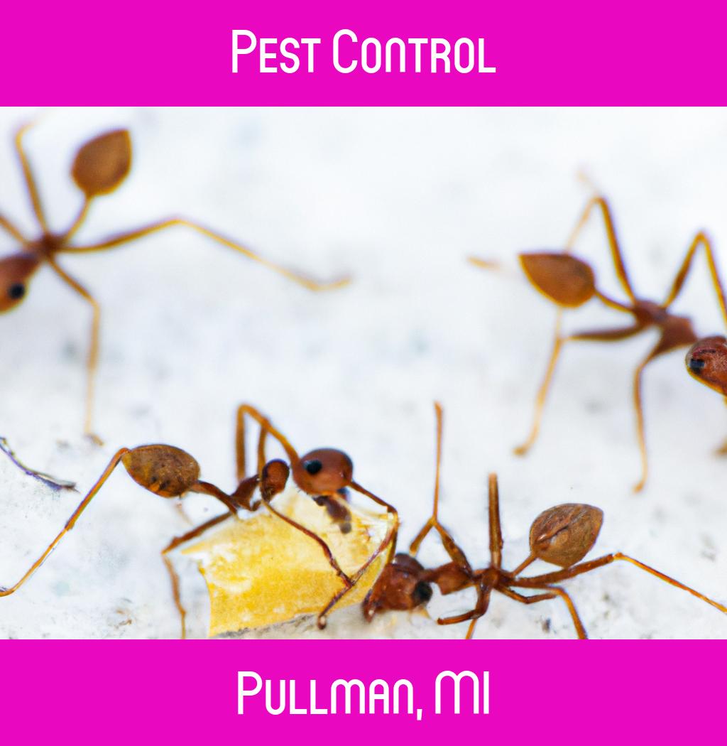 pest control in Pullman Michigan