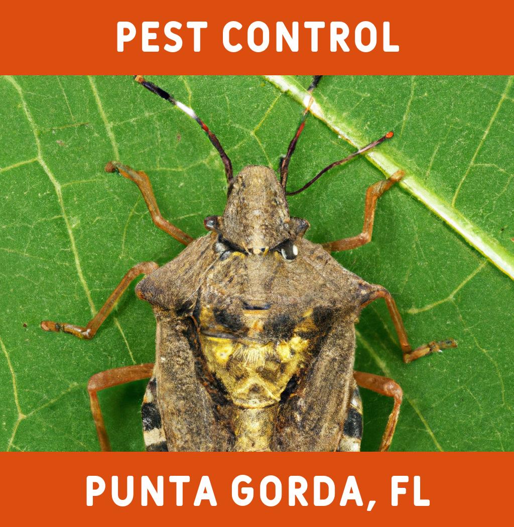 pest control in Punta Gorda Florida