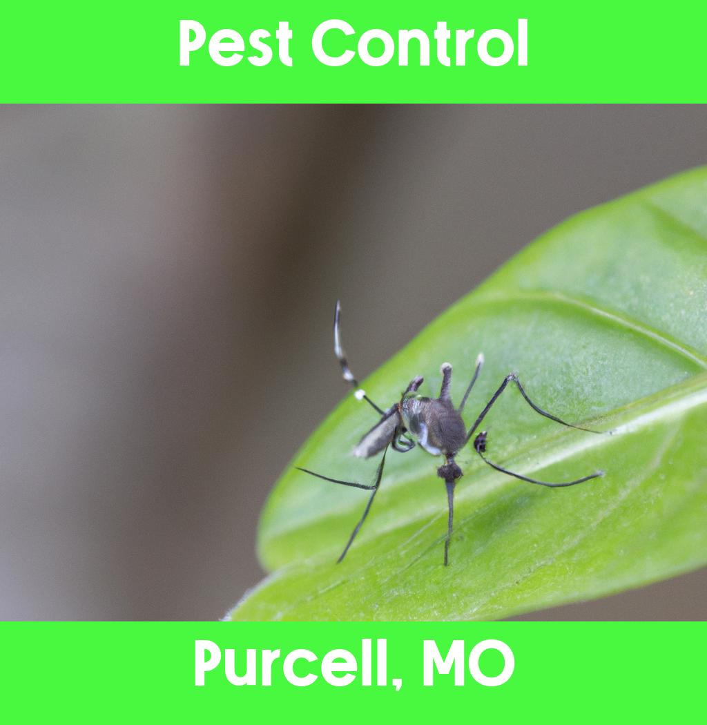 pest control in Purcell Missouri