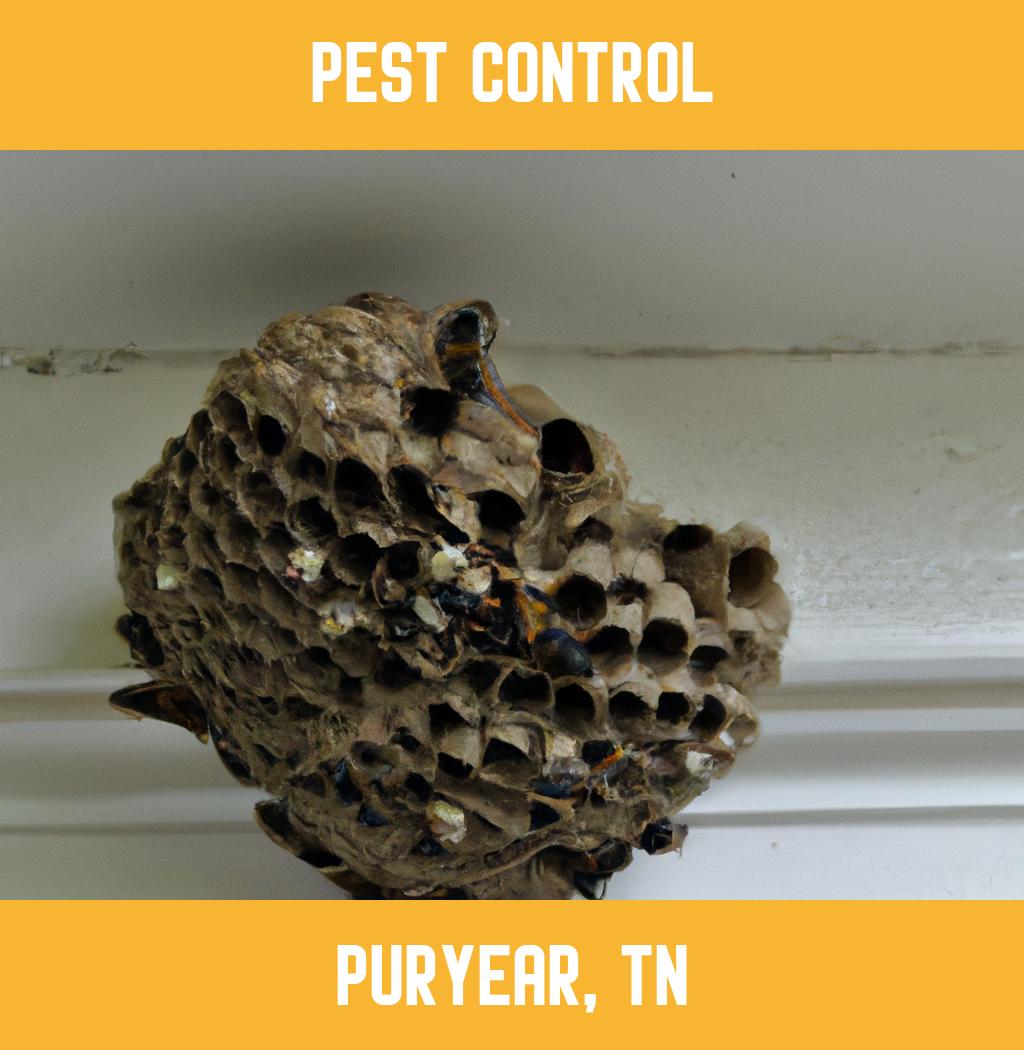 pest control in Puryear Tennessee