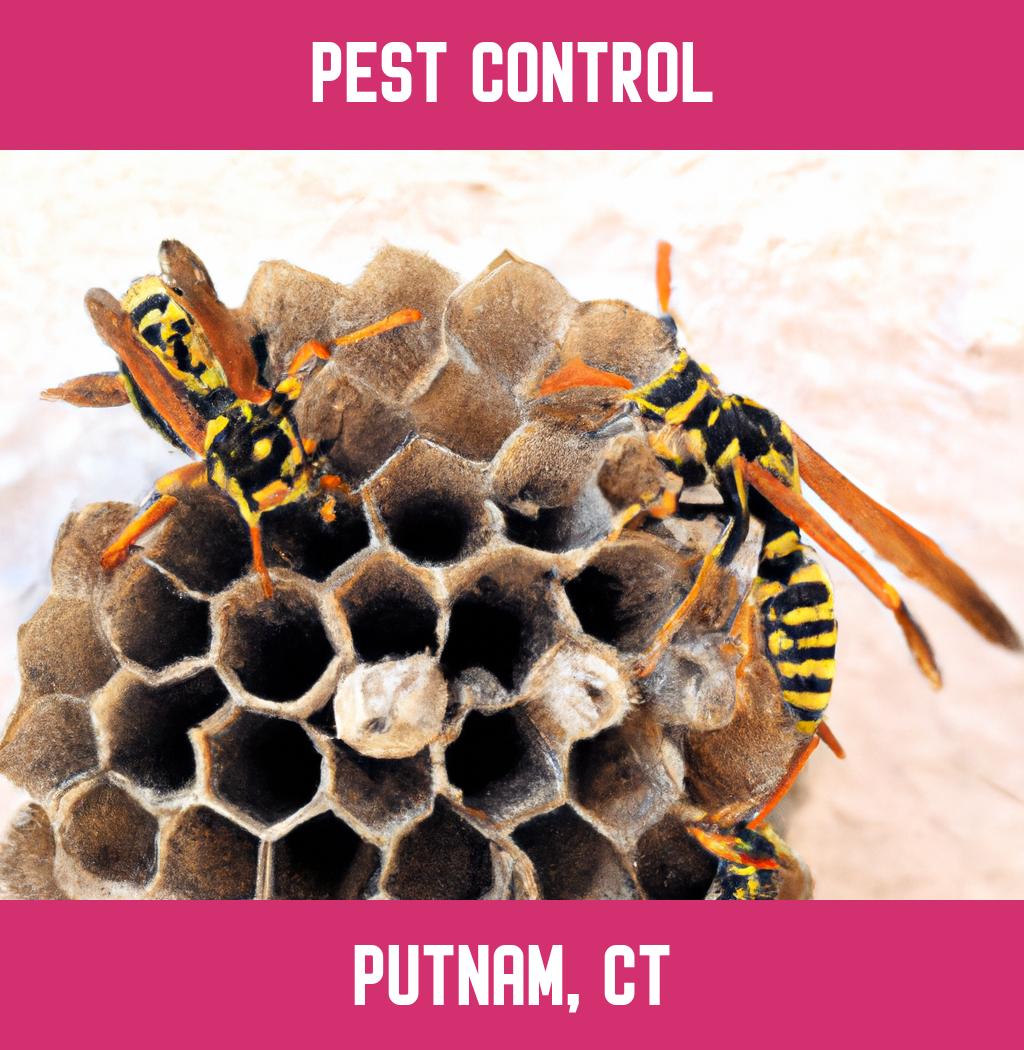 pest control in Putnam Connecticut