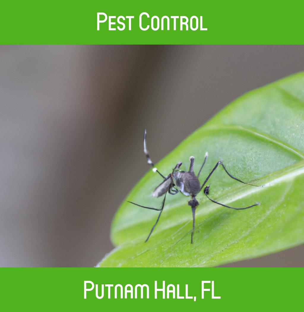 pest control in Putnam Hall Florida