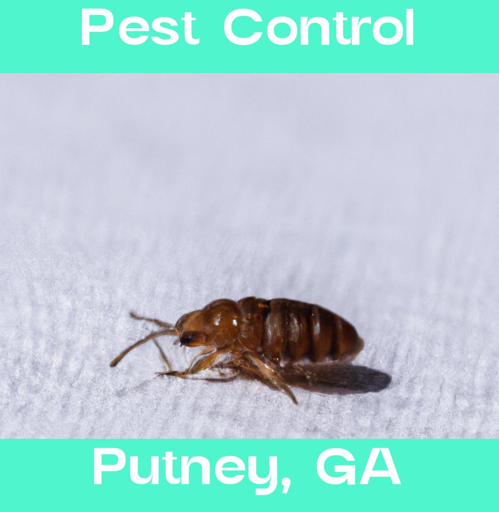 pest control in Putney Georgia