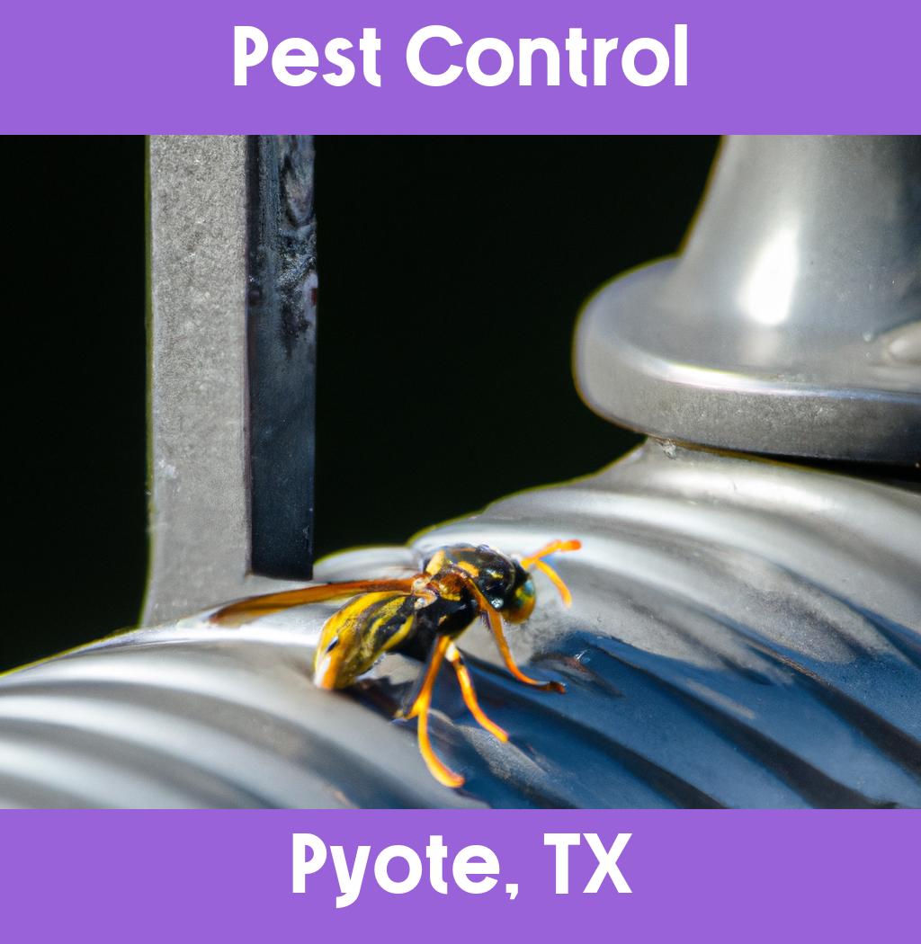 pest control in Pyote Texas