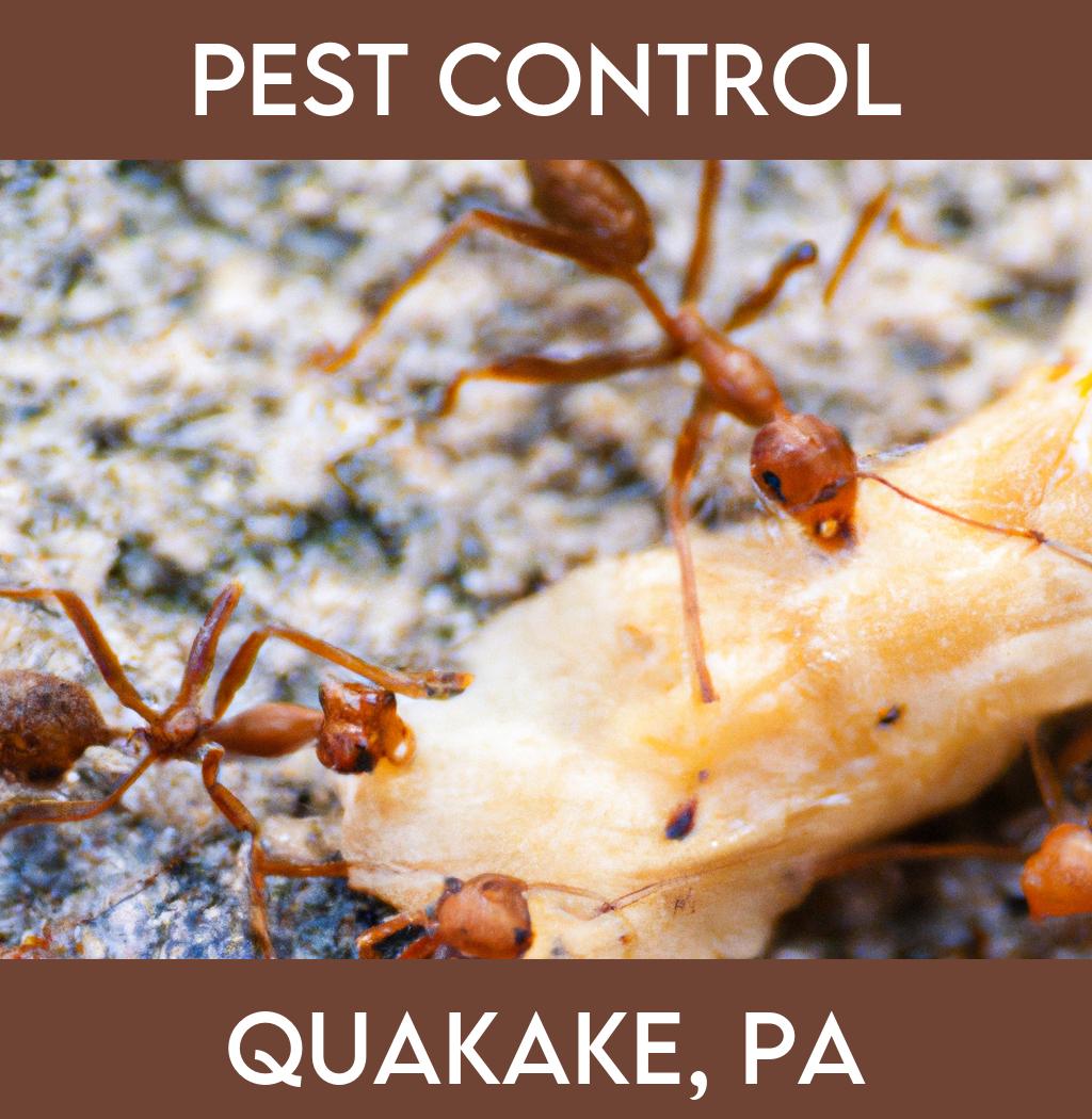 pest control in Quakake Pennsylvania