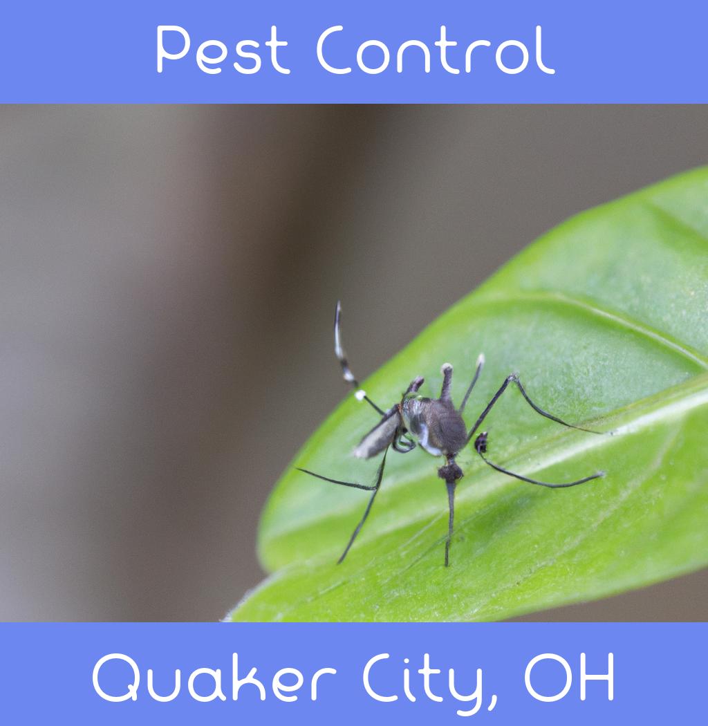 pest control in Quaker City Ohio