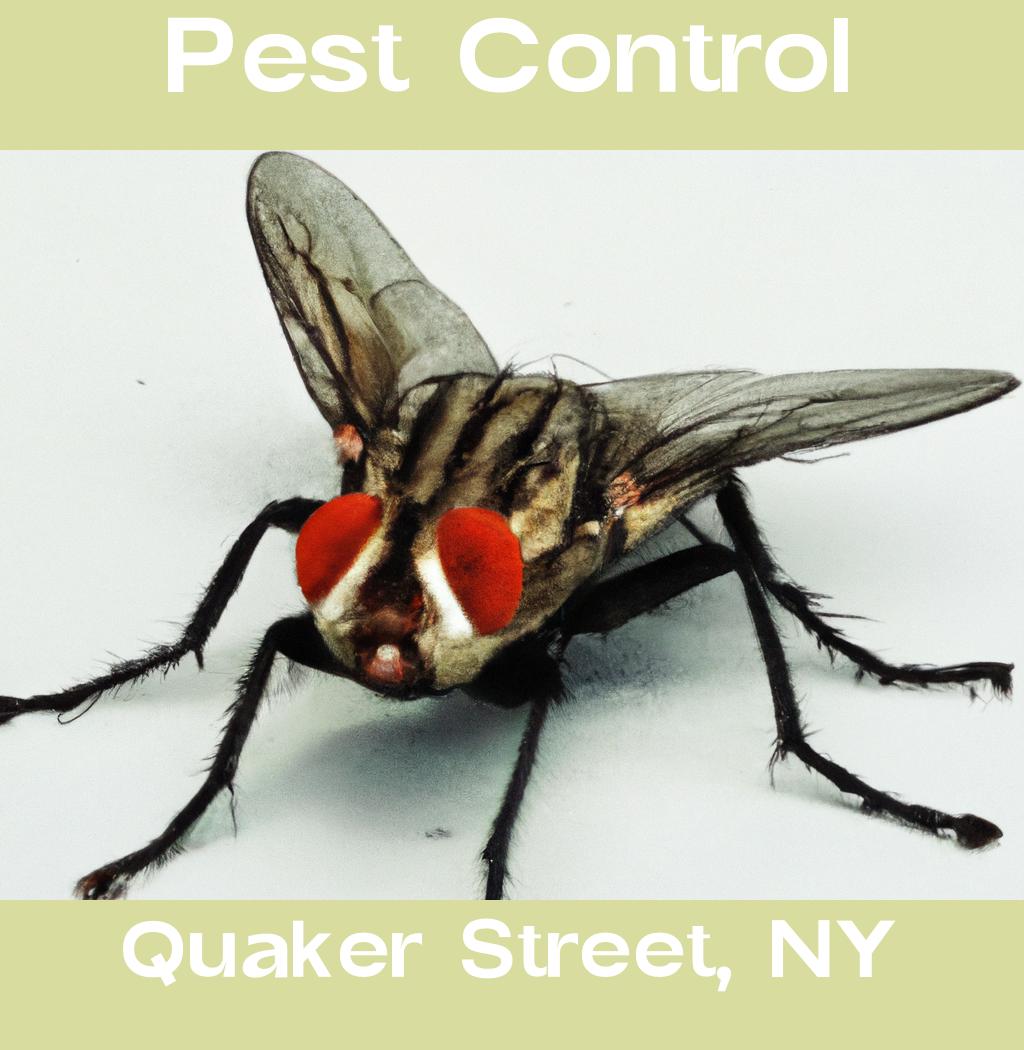 pest control in Quaker Street New York