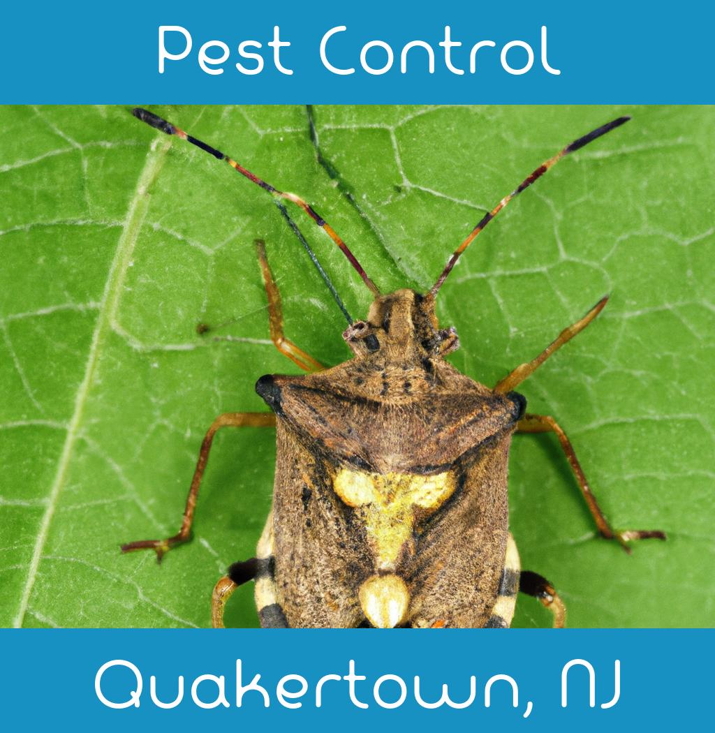 pest control in Quakertown New Jersey