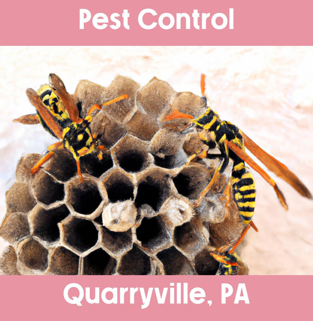 pest control in Quarryville Pennsylvania