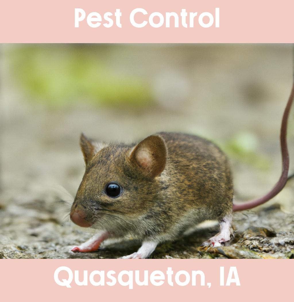 pest control in Quasqueton Iowa