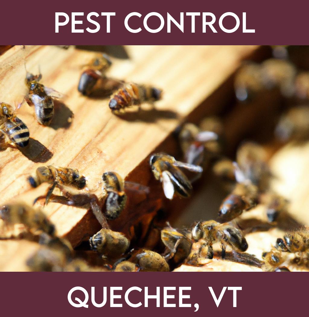 pest control in Quechee Vermont