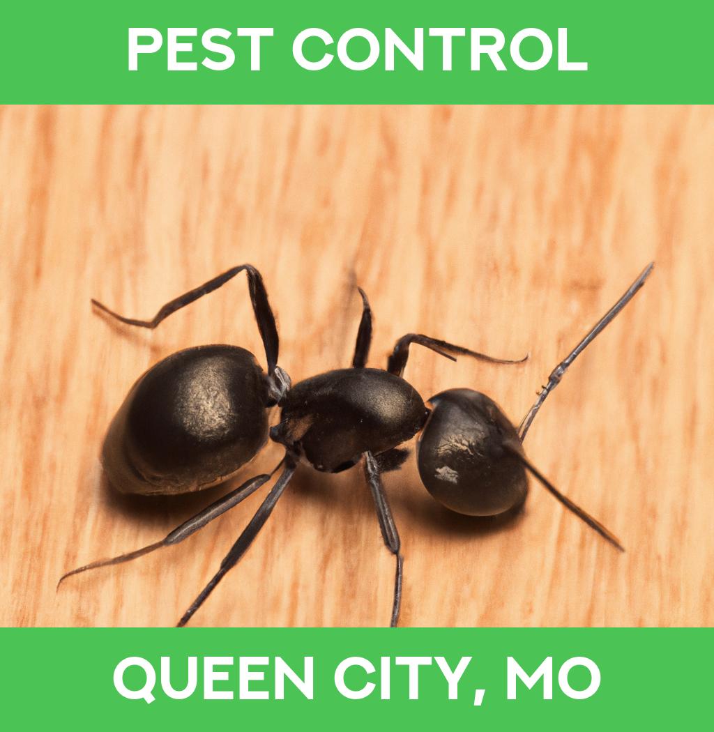 pest control in Queen City Missouri