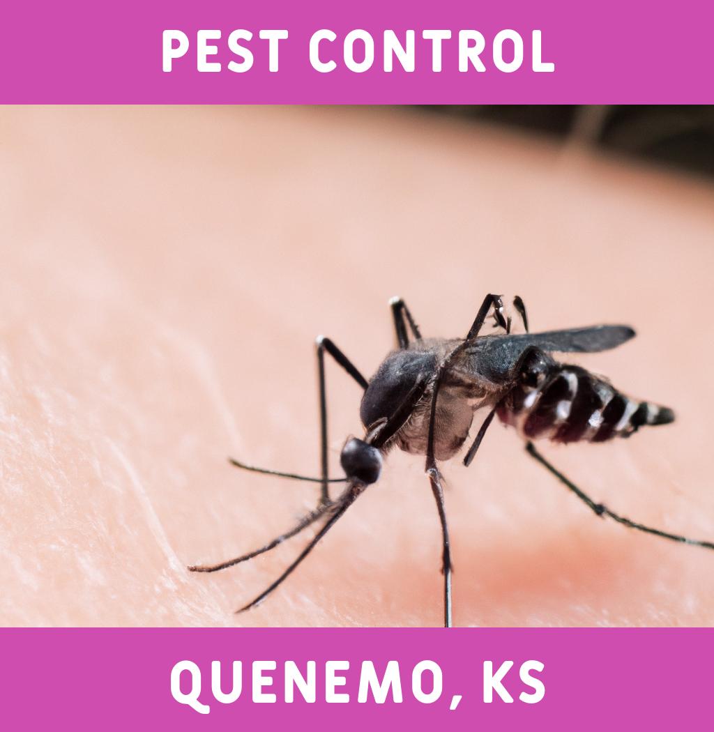 pest control in Quenemo Kansas