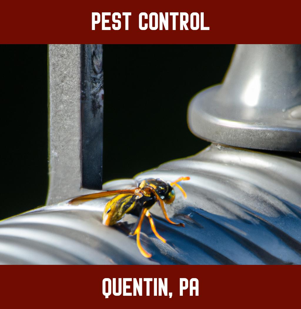 pest control in Quentin Pennsylvania