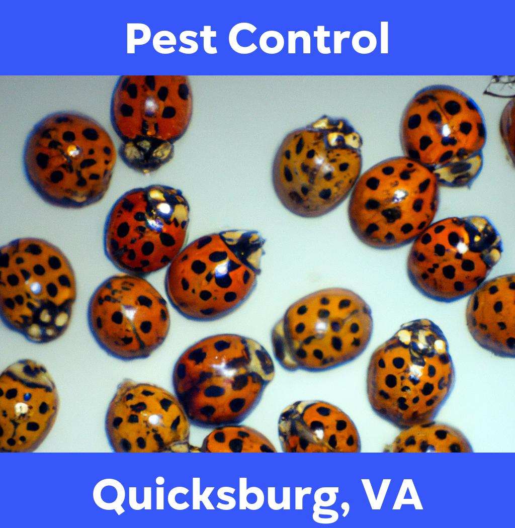 pest control in Quicksburg Virginia