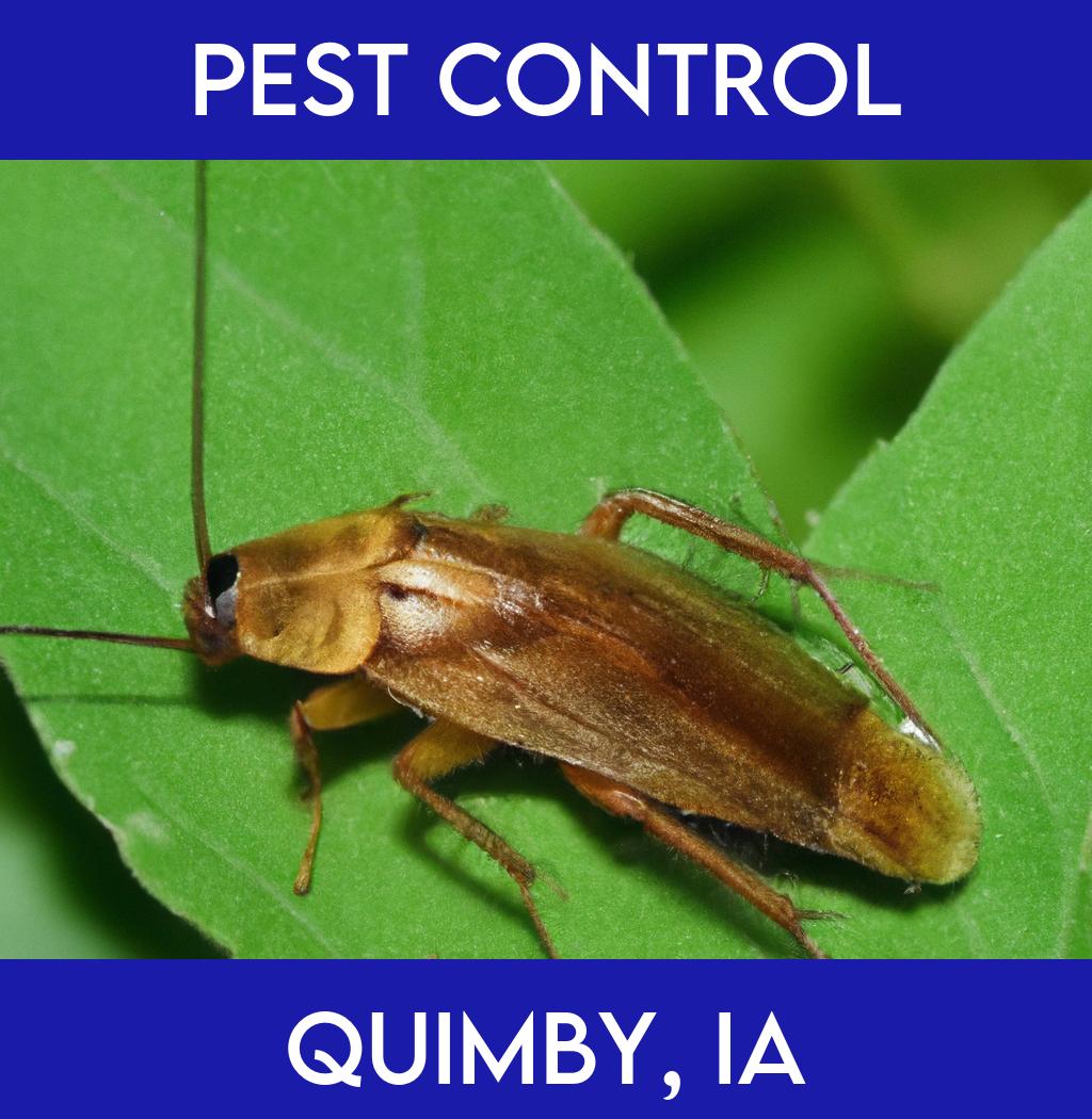 pest control in Quimby Iowa